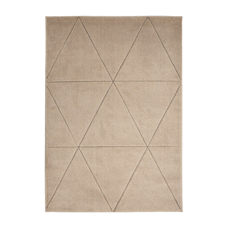 Takaiyah Oriental Area Rug, Rectangle 80 x 150cm