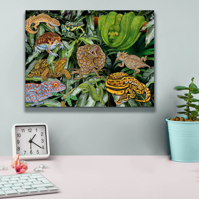  «Reptile & Amphibians» par Tim Jeffs, art mural sur toile, 16 po x 12 po, H 12 po x l 16 po