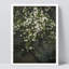Reproduction d'art floral sur bois d'amandier rétro, impression botanique pour salon, encadrée sur papier-93487933-93487936