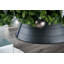 Marceline Metal Tree Collar-1568921514