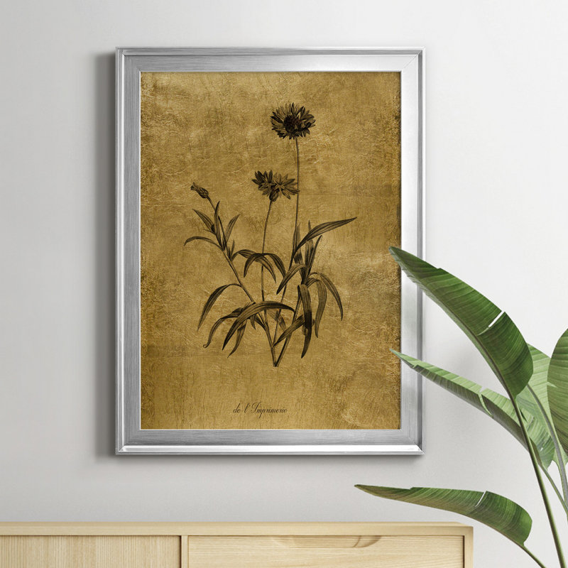 Impression sur toile «Botanical I», cadre doré, H 30,5 po x l 22,5 po x P 1,5 po, Argent