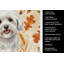 Serviette de cuisine tricolore Sheltie-2083472399