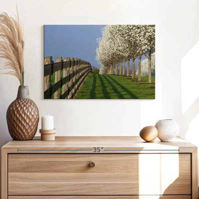Dogwood Tree Lane