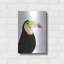 "Toucan aquarelle" par Naomi McCavitt-2046549944