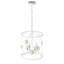 Luminaire suspendu 4 lumières Nashlie E12 Elegant Dimmable
