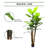 7 Feet Tall Artificial Banana Tree