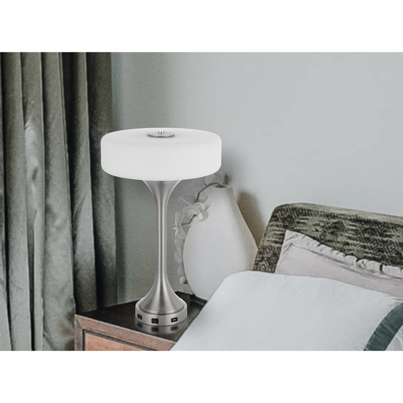 Earnstine Metal USB Table Lamp