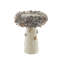 Oyster Shell Birdbath-72168462