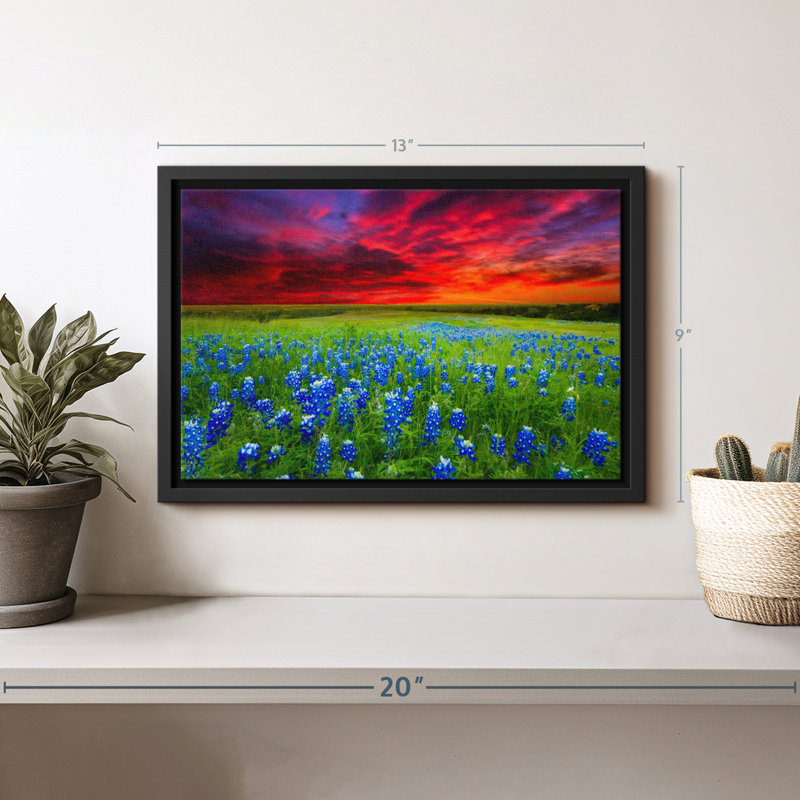 Bluebonnets At Sunset I Canvas Print, 9" H x 13" W
