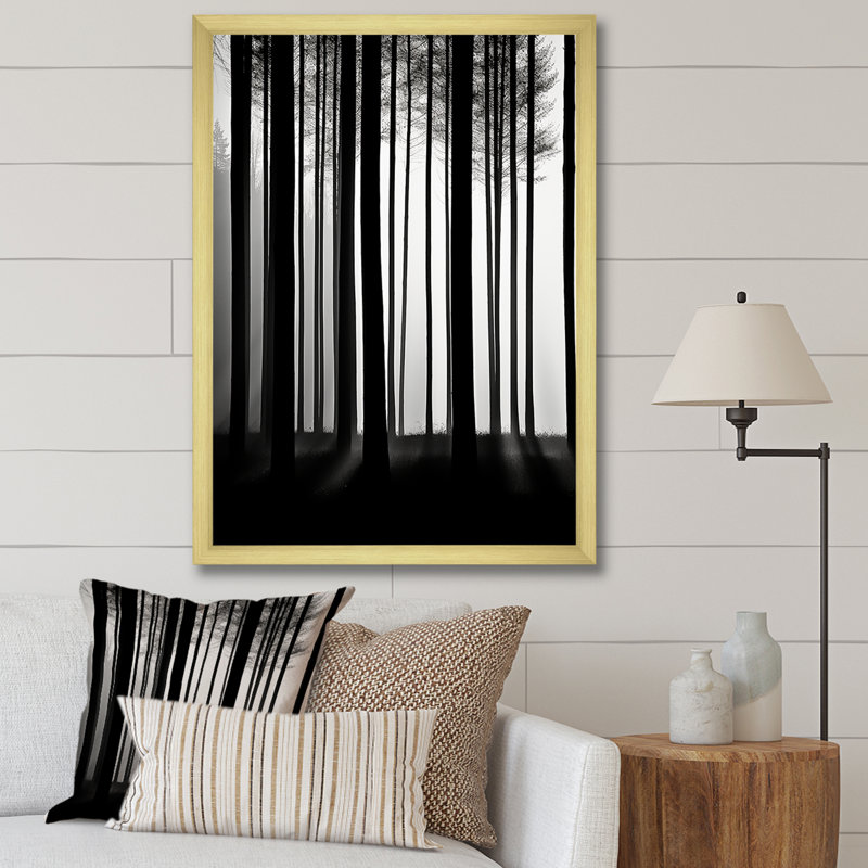 «Black and White Forest Silence», photographie sur toile, H 20 po x l 12 po x P 1 po, Cadre doré simple