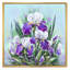 Fleurs et iris mauves en fleurs-1643949985-1643949976