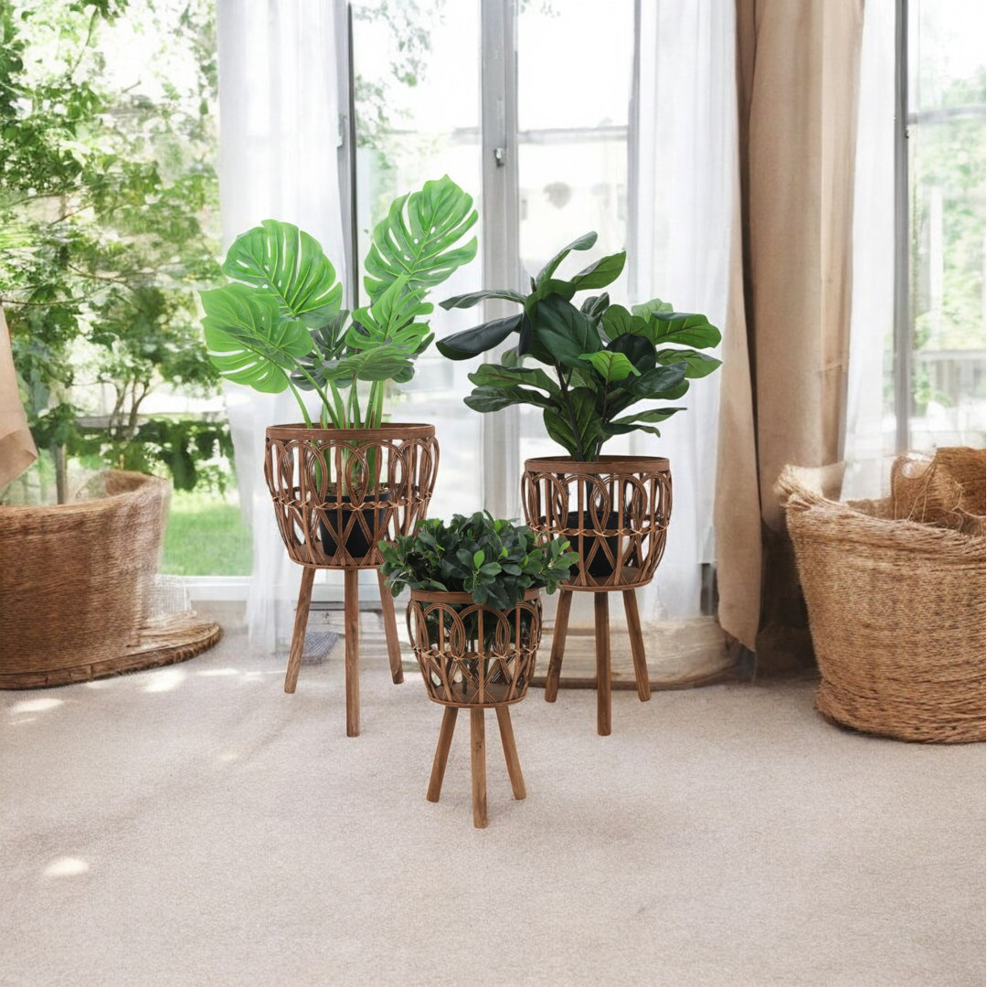 Bamboo Wood Handwoven Planters on Tripod Legs (Set of 3) Beachcrest Home™ 