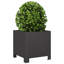 Planter Box-108202636-104931243