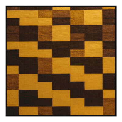 Machine Washable Checkered Brown Area Rug