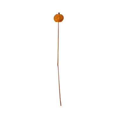 Citrouille Panna orange sur tige