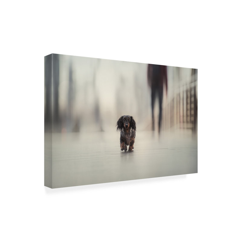 Art sur toile Heike Willers Going Home, H 16 po x l 24 po