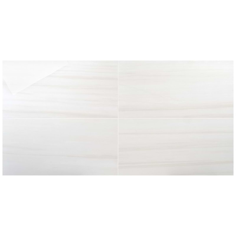 Minera 24x48 Polished Marble Look Porcelain Tile