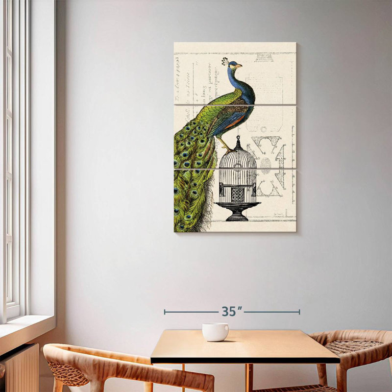 Cage à oiseaux Brampt Peacock I