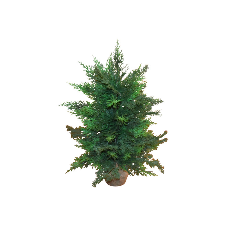 25" Christmas Cedar Pine Tree In Pot