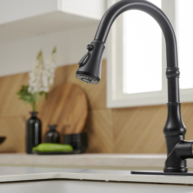VIBRANTBATH Kitchen Faucet, Matte Black/Gold, 1.2 GPM