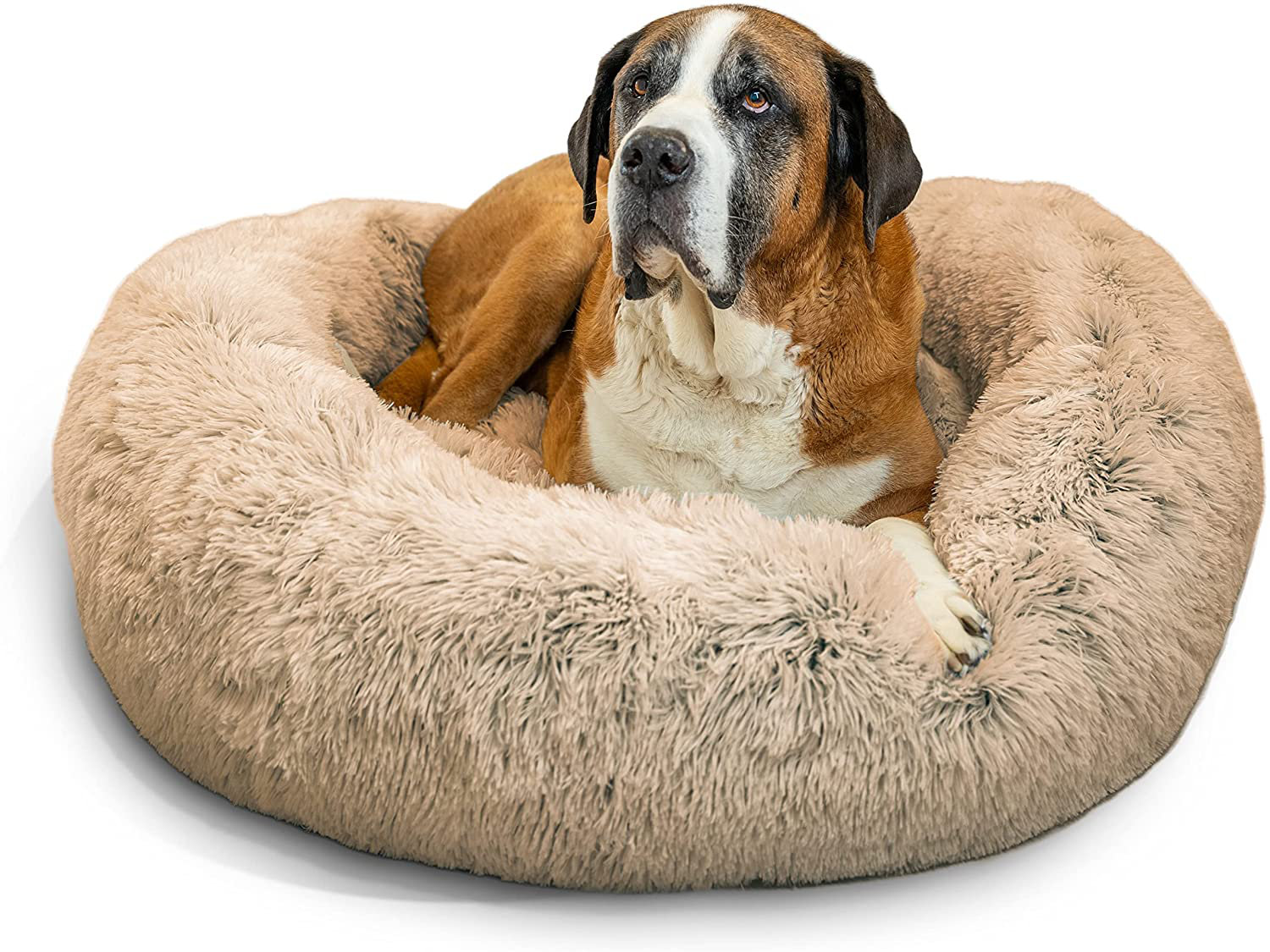 Round Dog Bed Sailboats