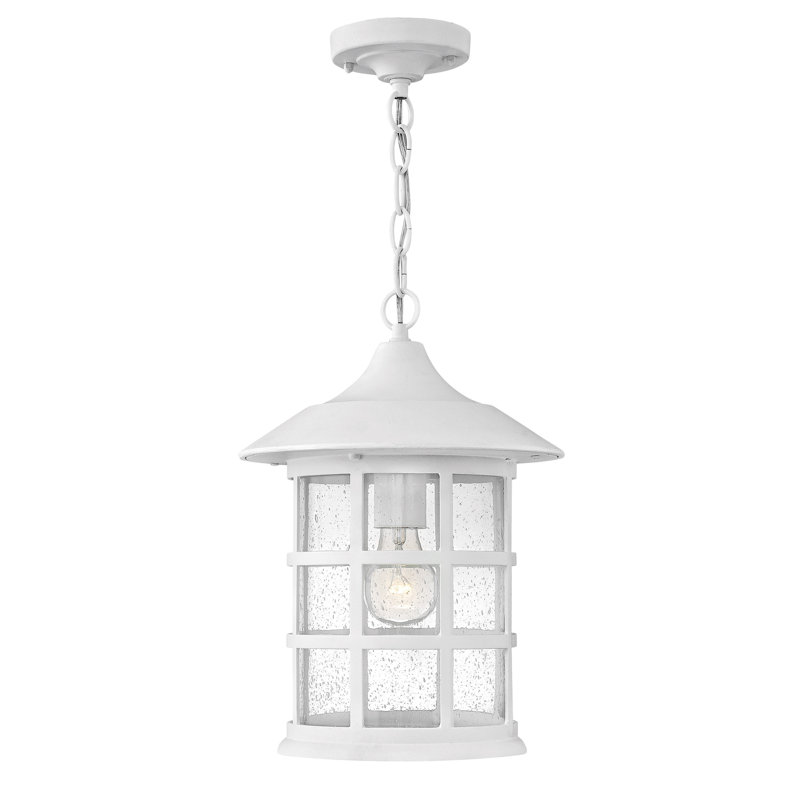 Freeport 1-Light Outdoor Hanging Lantern