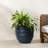 Modern Wave Texture Planter, Indoor Outdoor Flower Pot with Drainage Hole and Removable Plug-1274773577-1281247259