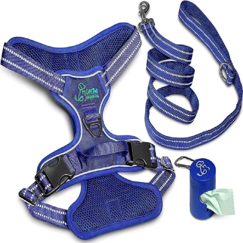 Ensemble de marche et laisse Katziela, Bleu, L 1 po x P 15 po x H 1 po