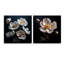 Ensoleillé Ranunculus Dreams - ensemble de 2 peintures murales en acrylique Ranunculus-1577241870