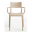 Generic A Arm Chair-38508461