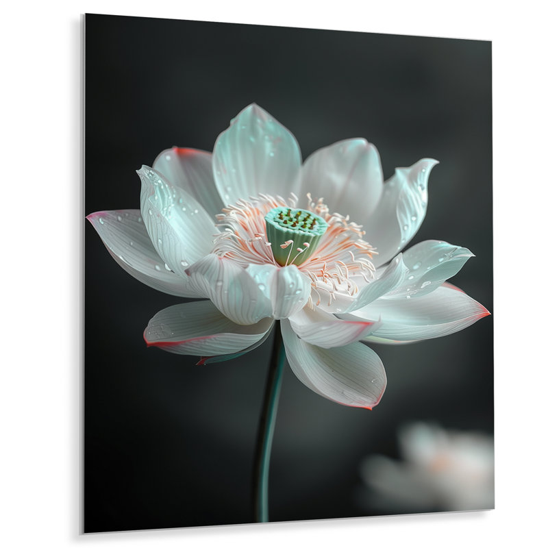«White Crystal Lotus Garden Oasis», art mural Lotus, Sans cadre, métal, H 24 po x l 32 po