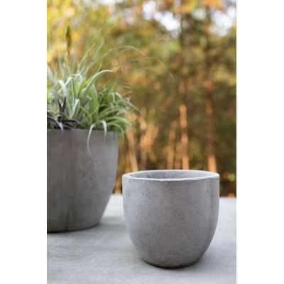 Trixie Newport Pot