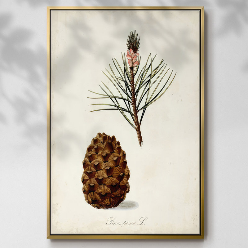 Étude d'arbre antique V, H 41 po x l 27 po x P 1,5 po, Encadrement doré