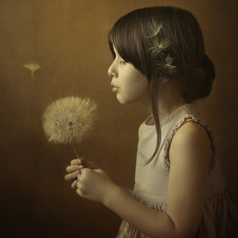 Wrapped Canvas Print, 50.8 cm H x 50.8 cm W