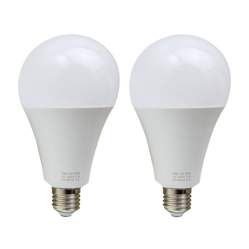 A60 3500 K LED Smart Bulb, 25W