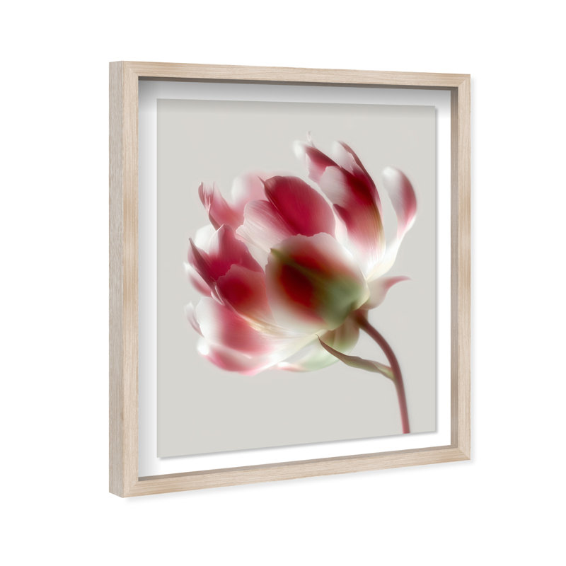 Crimson Core I Shadowbox Floral & Botanical Print by Oliver Gal, Black Frame, 16 x 20, 31.5"H x 37.5"W, Natural Oak Shadowbox