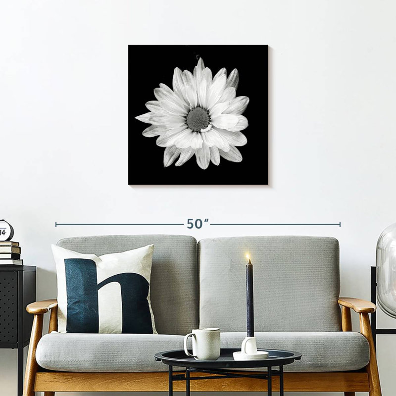 Harnek BW White Daisy