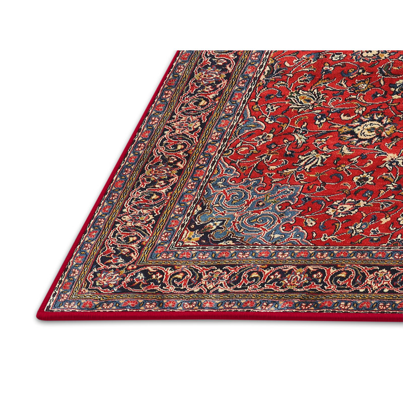 Lorelei Oriental Indoor Rug, Rectangle 4' x 6'