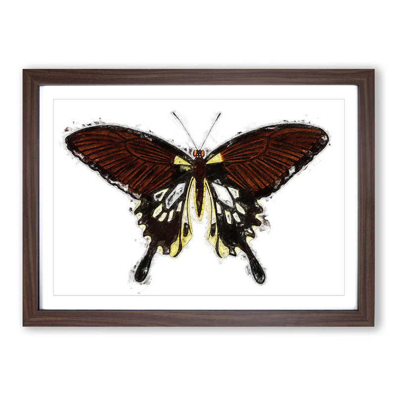 Black Butterfly by George Shaw - Picture Frame Painting Print on MDF, Walnut Framed, 27cm H x 36cm W x 2cm D