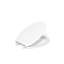 Lustra with Quick-Release Hinges Toilet Seat-286980276-342726762