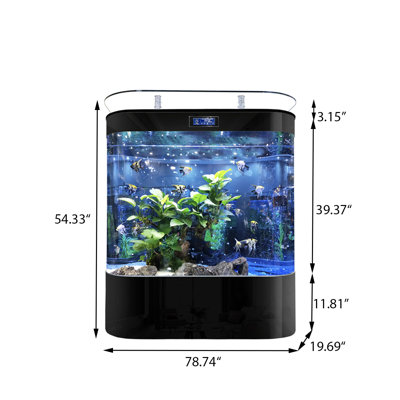 Grand aquarium à filtration arrière de 78,74 po avec panneau d'aquarium en verre noir