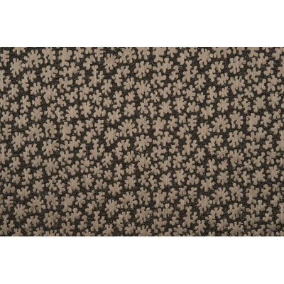Hinson Library Joanna Fabric