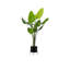 Ivo Plant Stand