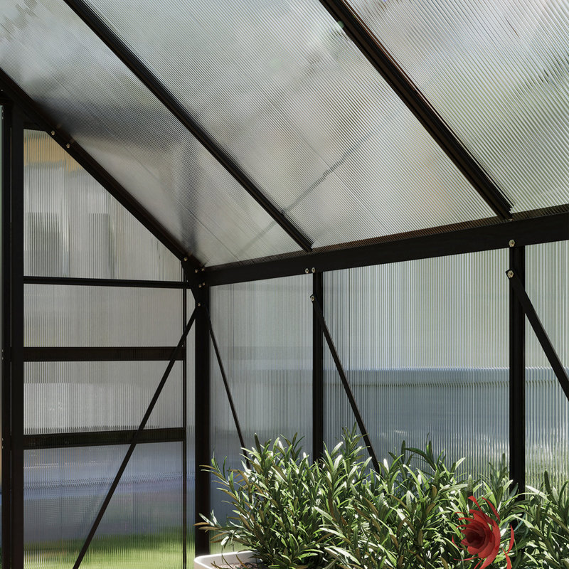 Serre en polycarbonate, serre accessible à pied, Gris,  6 pi x 8 pi x 6,5 pi