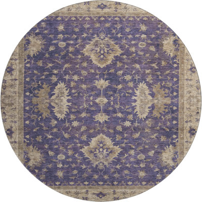 Premium Machine Washable Bucz AMF1739 Border Rug