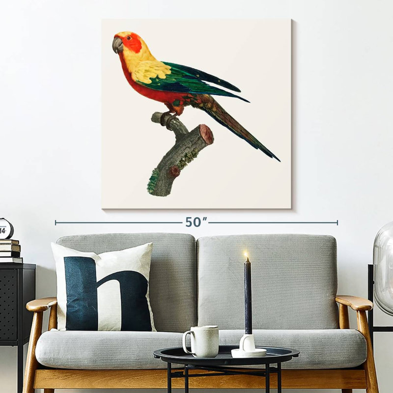 Brampt Sun Conure, 33" H x 33" W