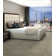 Apollo 24-in x 24-in Multi-Level Loop Adhesive Carpet Tile (48-sq ft)