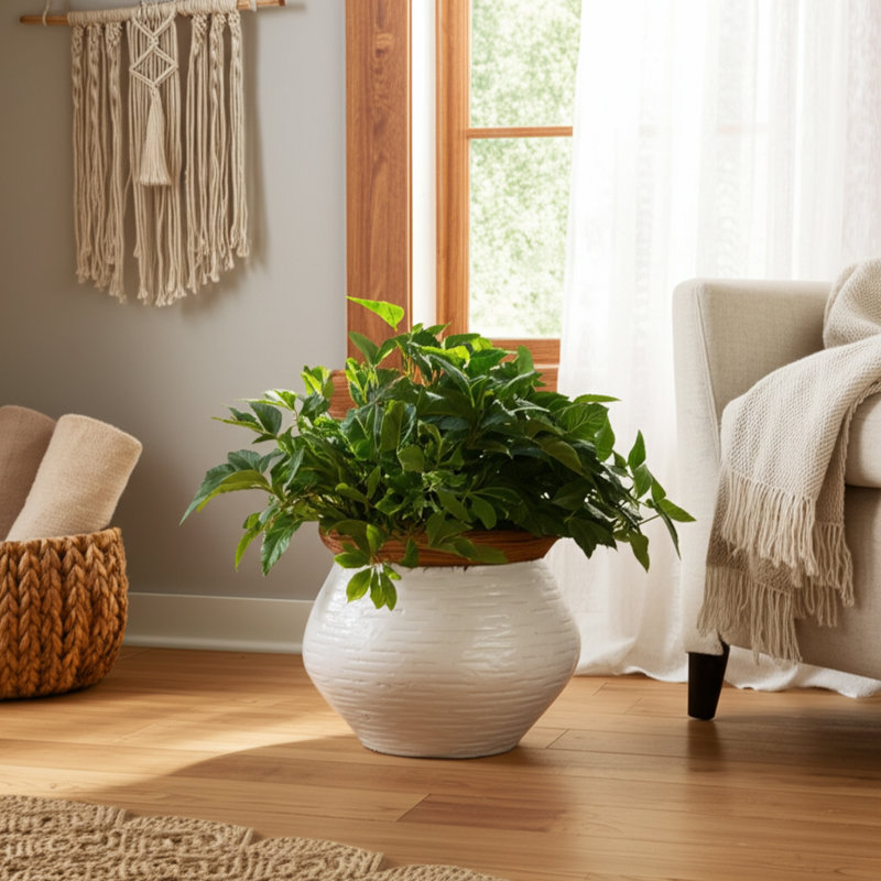 Pot de fleurs d'intérieur en terre cuite à motif texturé d'intérieur et de jardin - 7 po blanc et brun clair