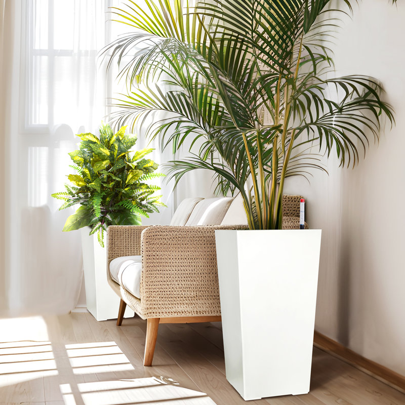 Plant Support, White