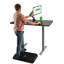 Support pour écran double avec support inclinable, pivotant et rotatif Uncage ergonomics mm